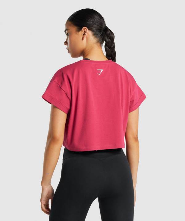 Damske Crop Top Gymshark Fraction Ruzove | FL2947180